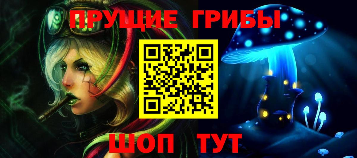 Избербаш  Псилоцибиновые грибы MAGIC MUSHROOMS  Вход с VPN 